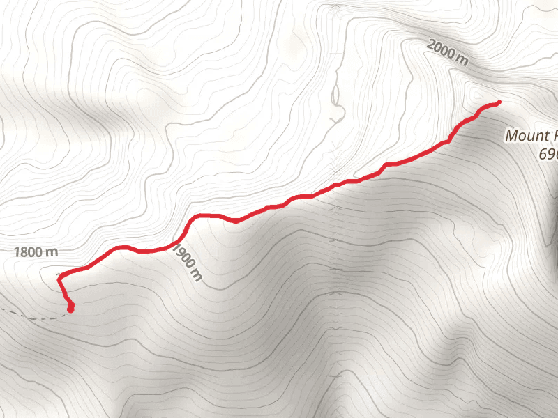 Mount Roothaan Trail