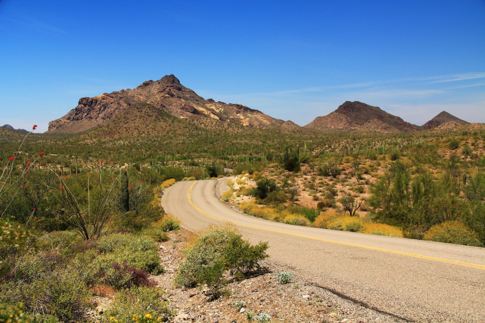 An image depicting the trail Red Tanks Tinaja Trail and its surrounding area.