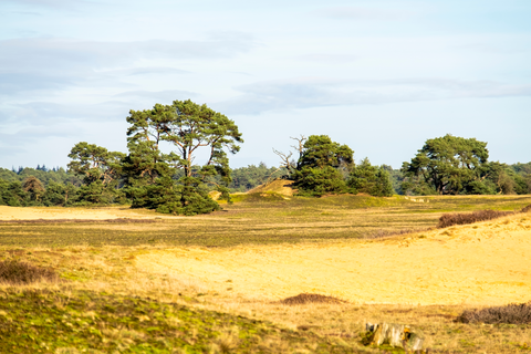 Franse Berg, t Rieselo and Otterlose Zand Loop