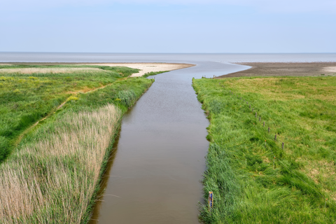 Zwarte Haan Out and Back