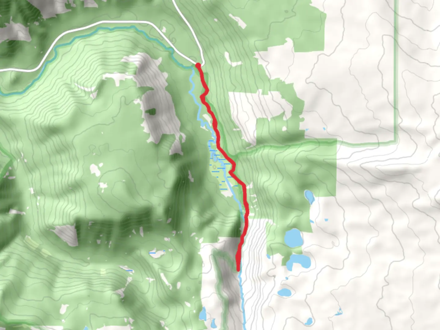 An image depicting the trail North Fork Middle Fork Willamette River Walk from Aufderheide Drive and its surrounding area.