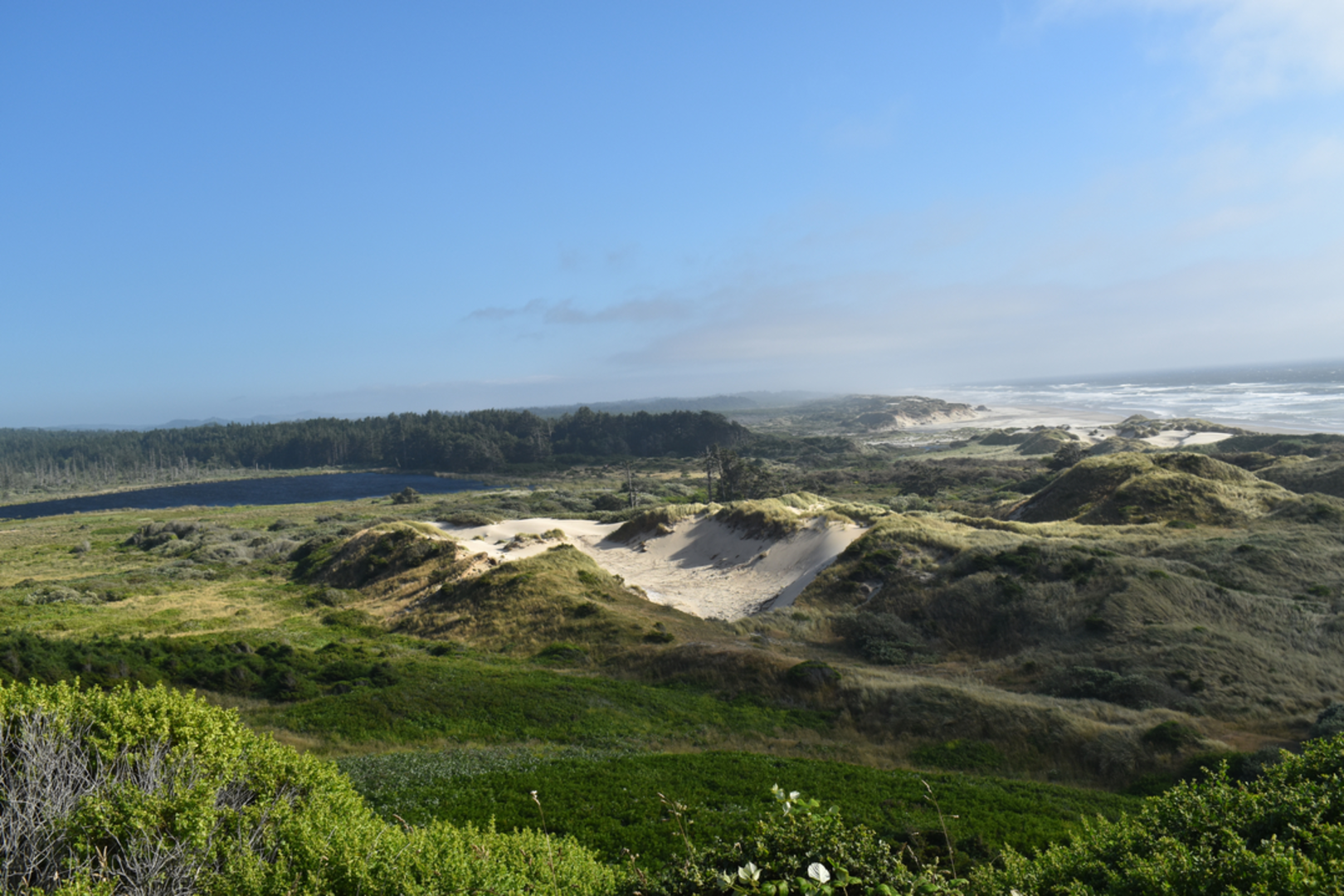 An image depicting the trail Sutton Creek South Trail and its surrounding area.