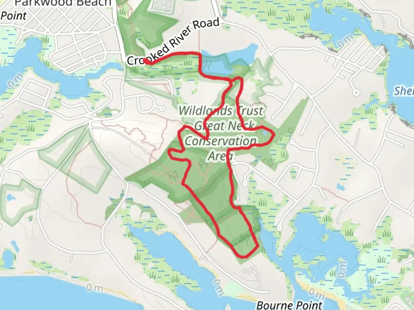 An image depicting the trail New England Forestry Foundation Loop Trail and its surrounding area.