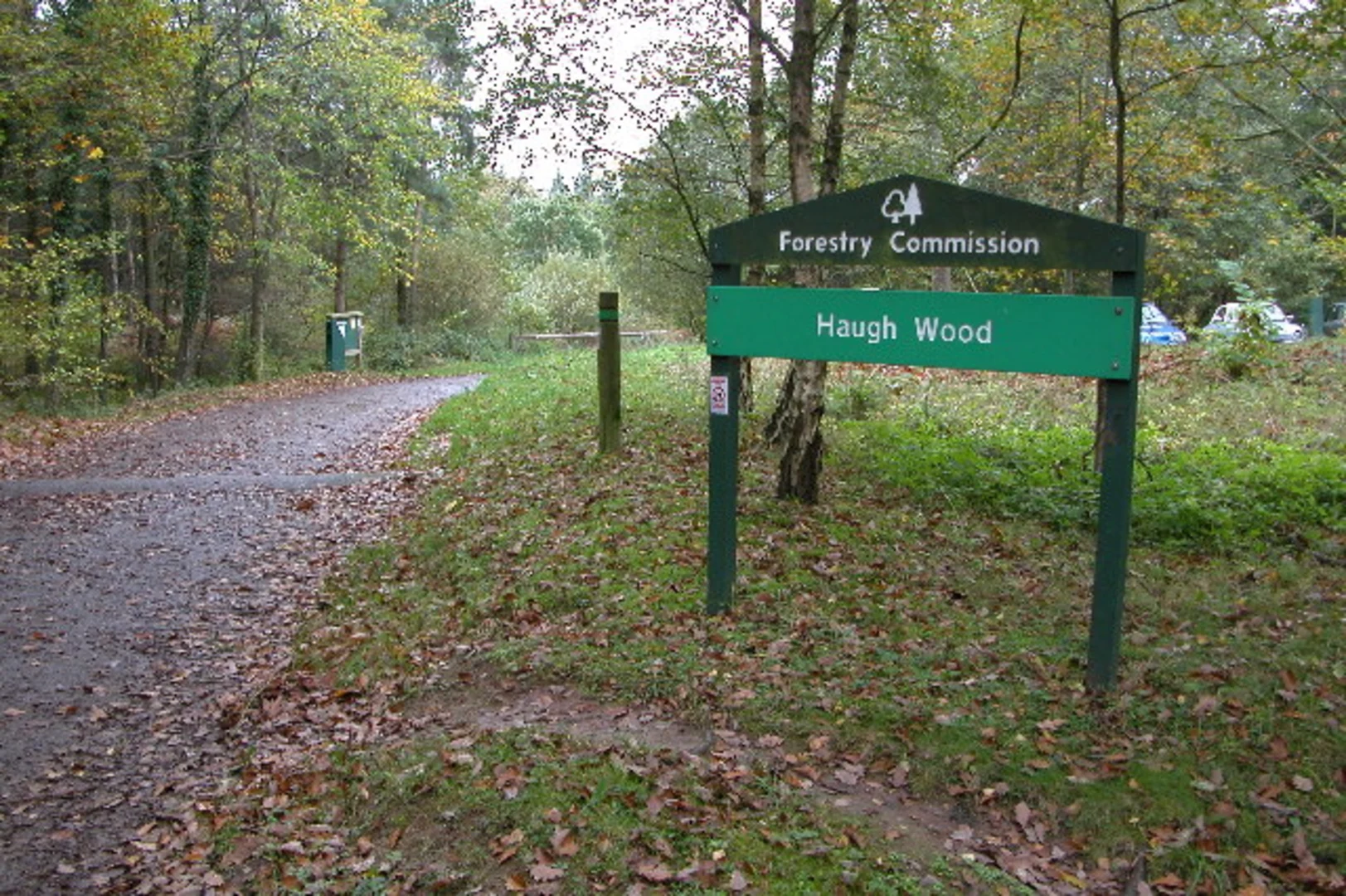 An image depicting the trail Haugh Wood and Raid Deep Wood via Ribble Way and its surrounding area.