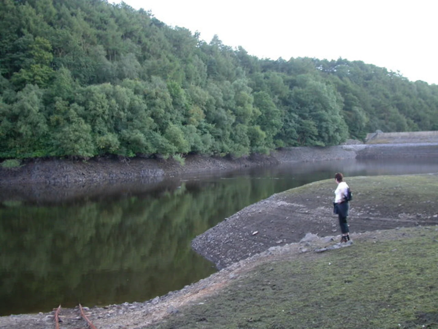 An image depicting the trail Grizedale Reservoir and Nicky Nook Loop and its surrounding area.