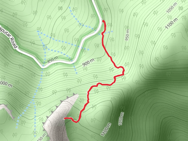 Yulludunida Track