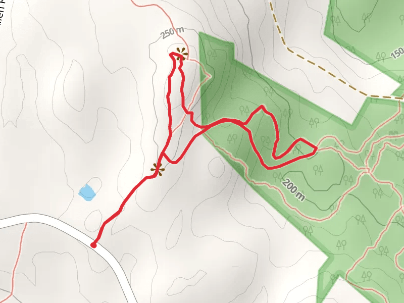 Great Hill and Glacial Erratic Trail Loop via Hamilton's Path