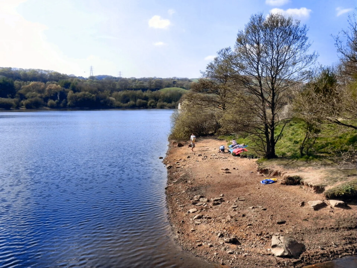 An image depicting the trail Jumbles Country Park Loop and its surrounding area.