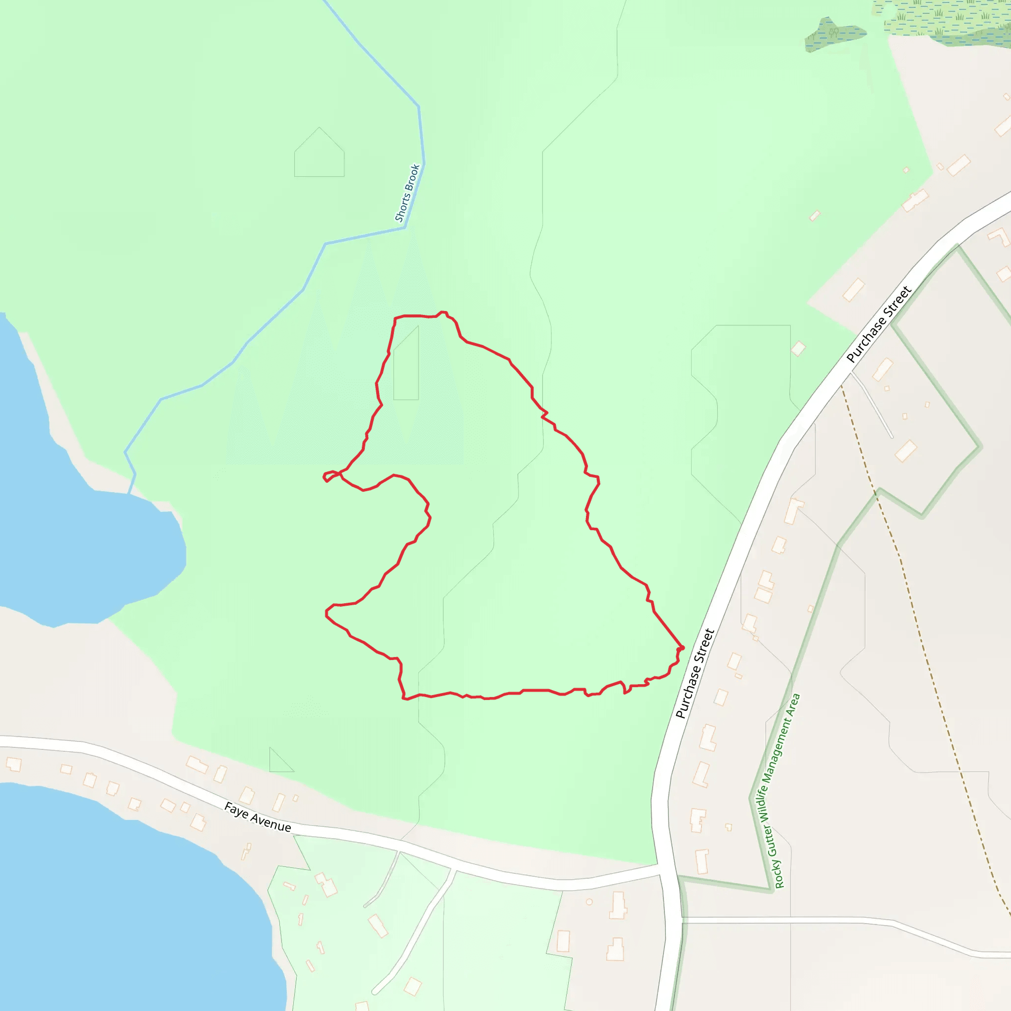 Shorts Brook Loop mobile static map