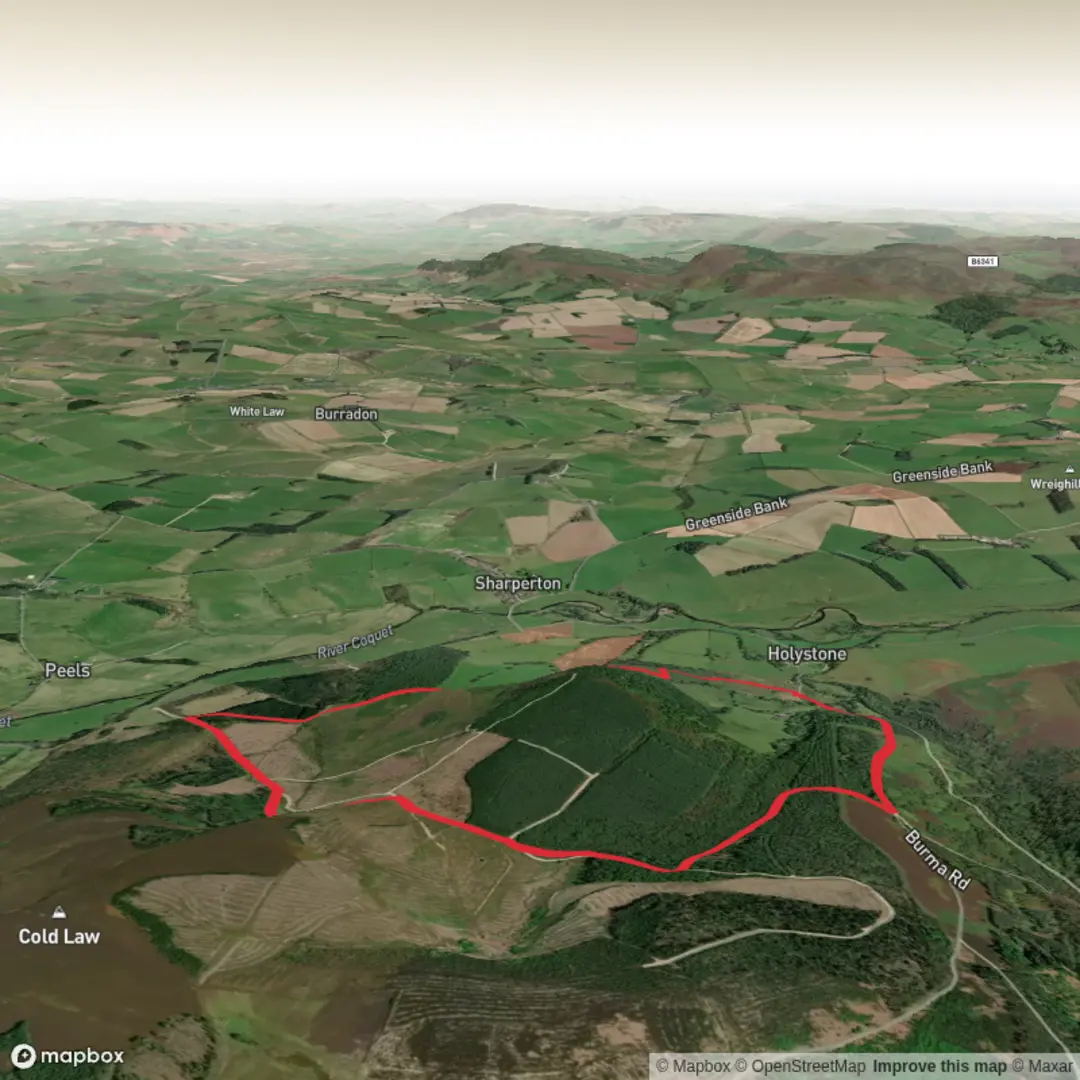 An image depicting the trail Holystone Loop and its surrounding area.