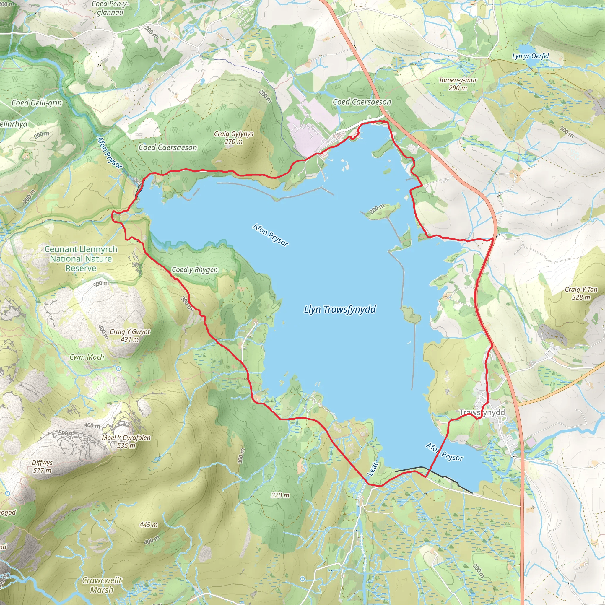 Llyn Trawsfynydd (4) mobile static map