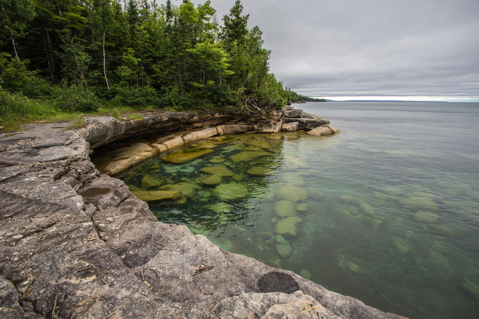 An image depicting the trail North Country Trail - Michigan Northeast and its surrounding area.