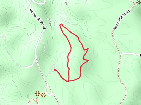 Ponderosa Loop Trail