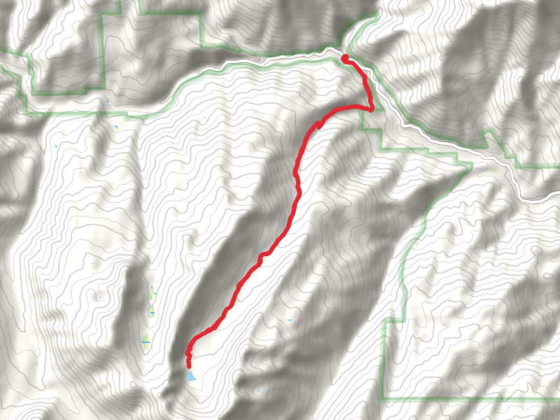 Sugar Pine Lake Trail