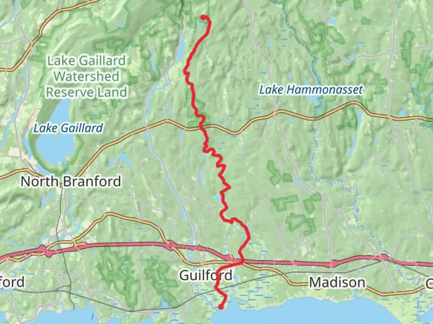 An image depicting the trail Menunkatuck Trail and its surrounding area.