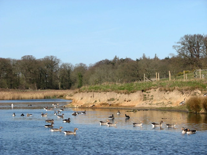Cromer to Felbrigg Loop via Felbrigg Pond