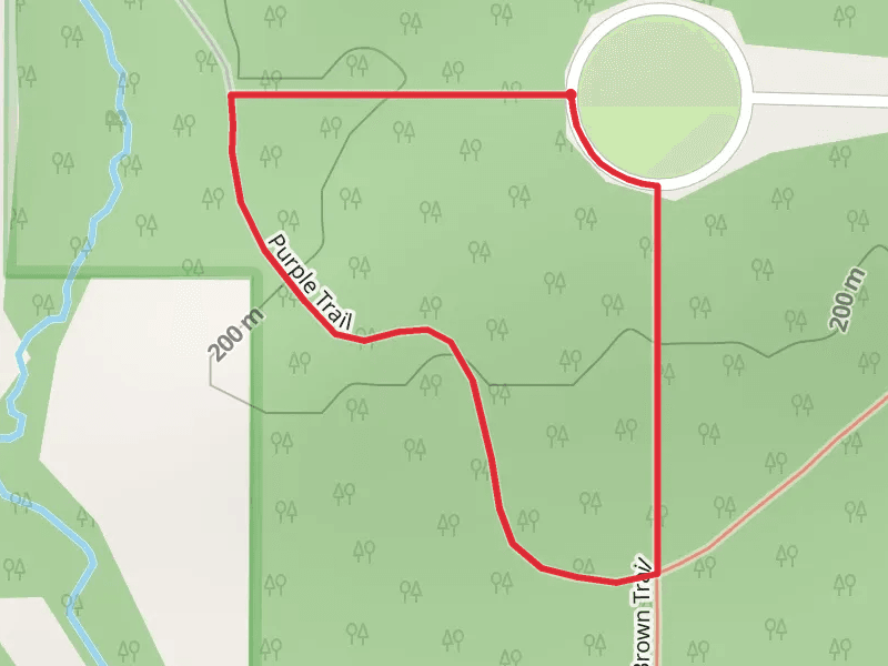 Pioneer Loop