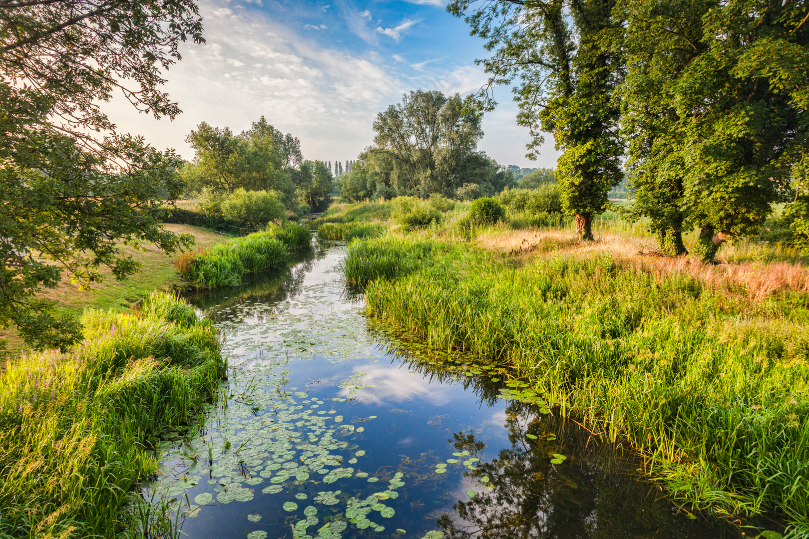 An image depicting the trail Lasso Essex - Dedham Ferrers to Bulmer and its surrounding area.