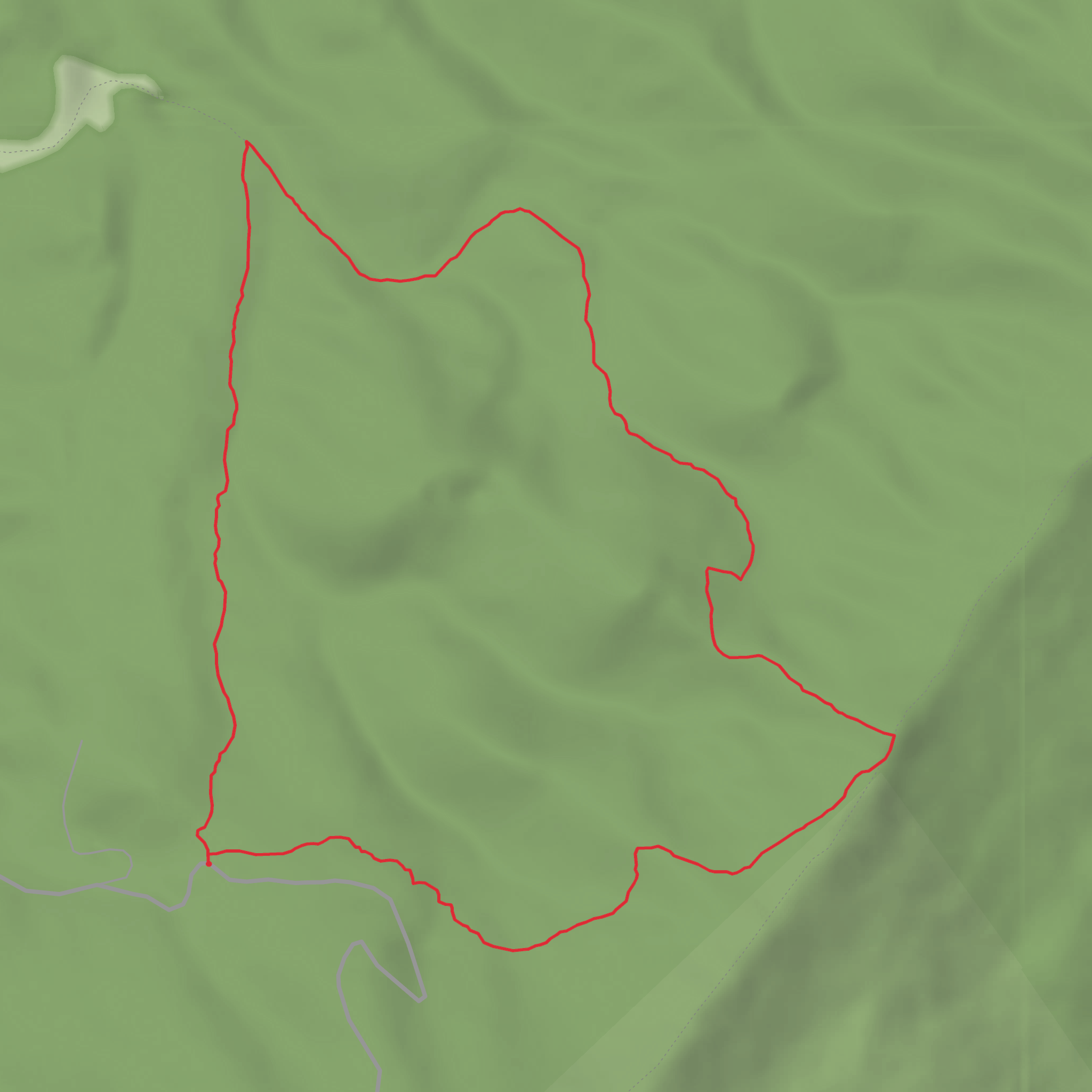Rich Patch Loop Trail mobile static map