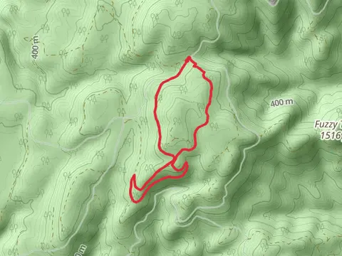 Wedekind Picnic Area Loop