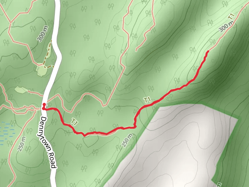 Dennytown Road East Hill Trail
