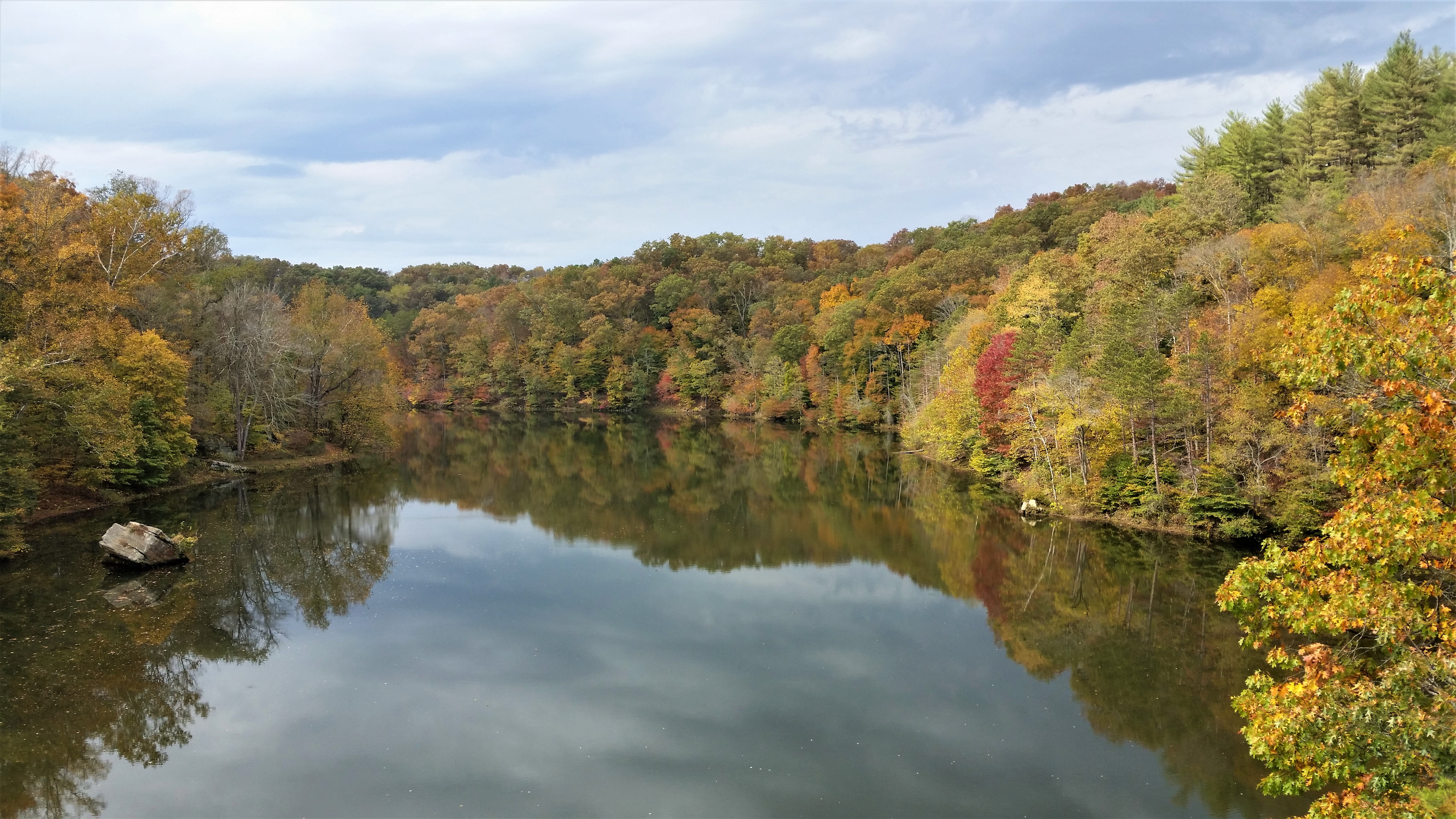 An image depicting the trail Wayne National Forest and its surrounding area.