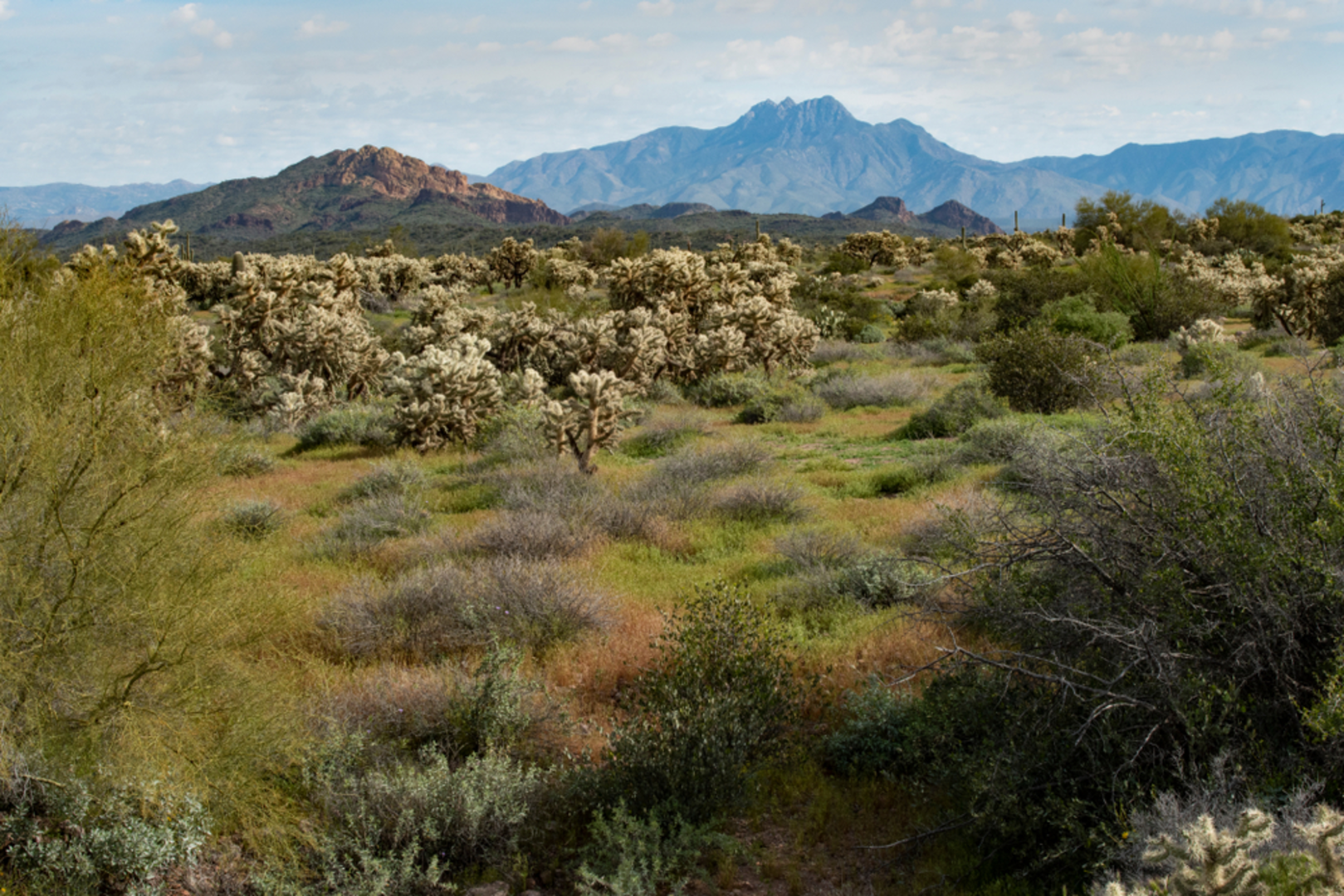 An image depicting the trail Jacobs Crosscut Trail and its surrounding area.