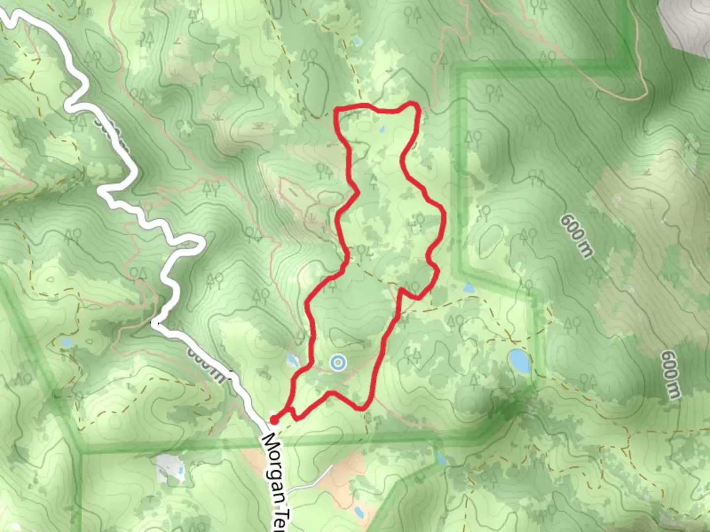 An image depicting the trail Condor and Bob Walker Regional Loop Trail and its surrounding area.