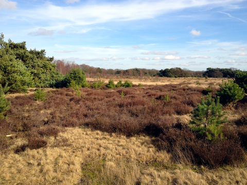 Bovenste Molen Weg and Groote Heide Loop