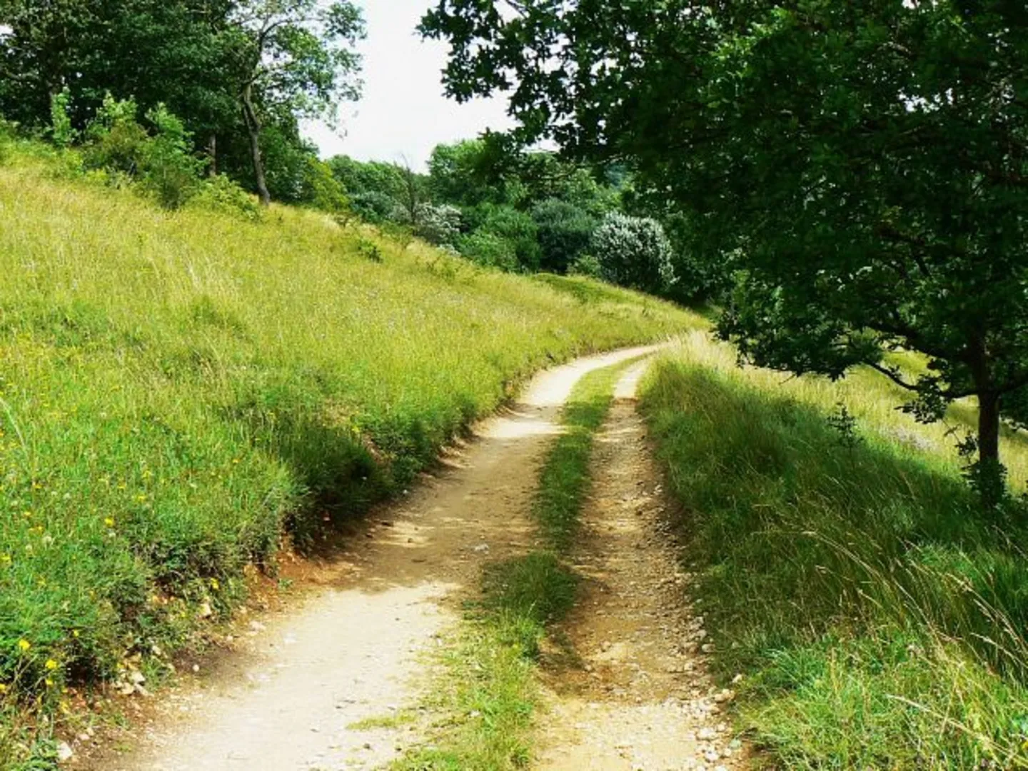 An image depicting the trail Cranham via Sheepscombe Circular and its surrounding area.