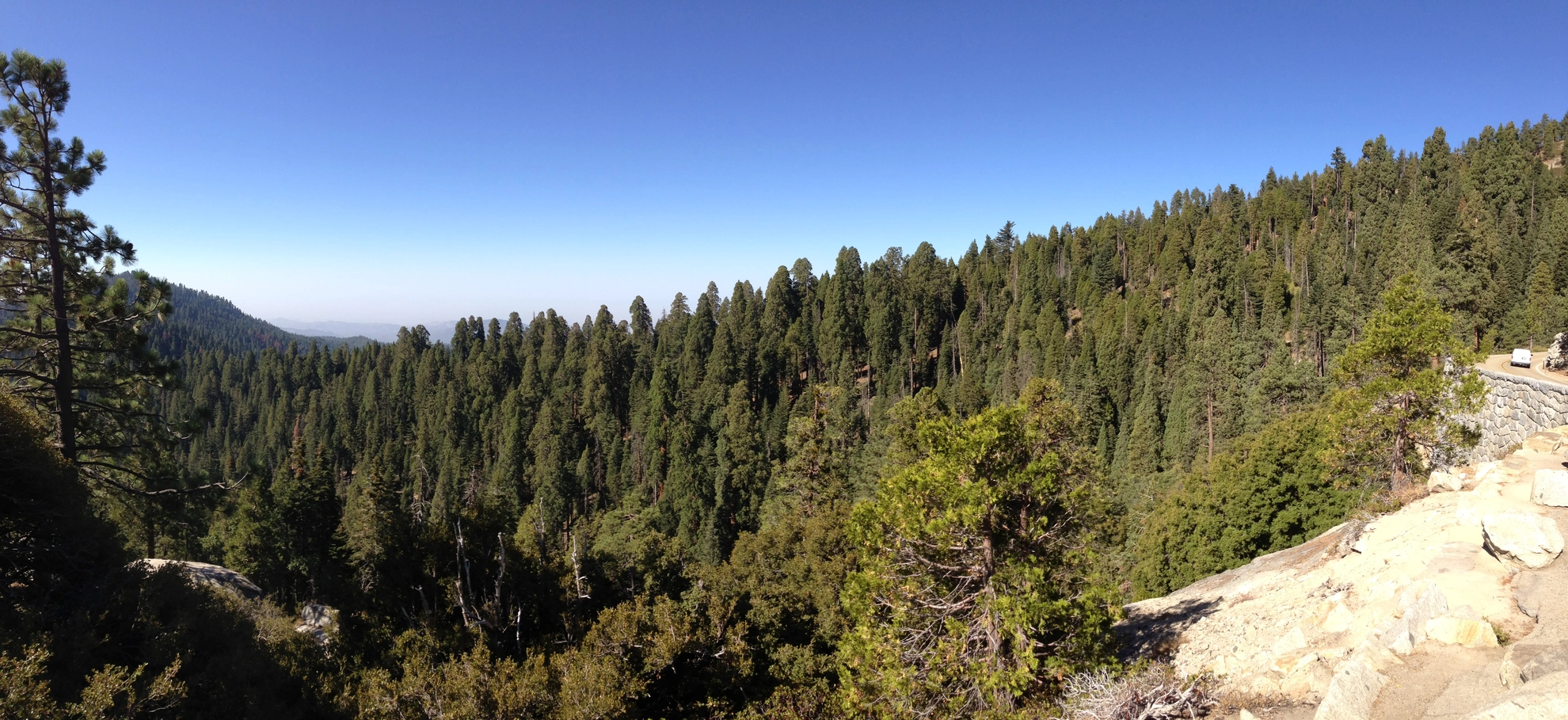 An image depicting the trail Redwood Canyon and Hart Tree Loop Trail and its surrounding area.