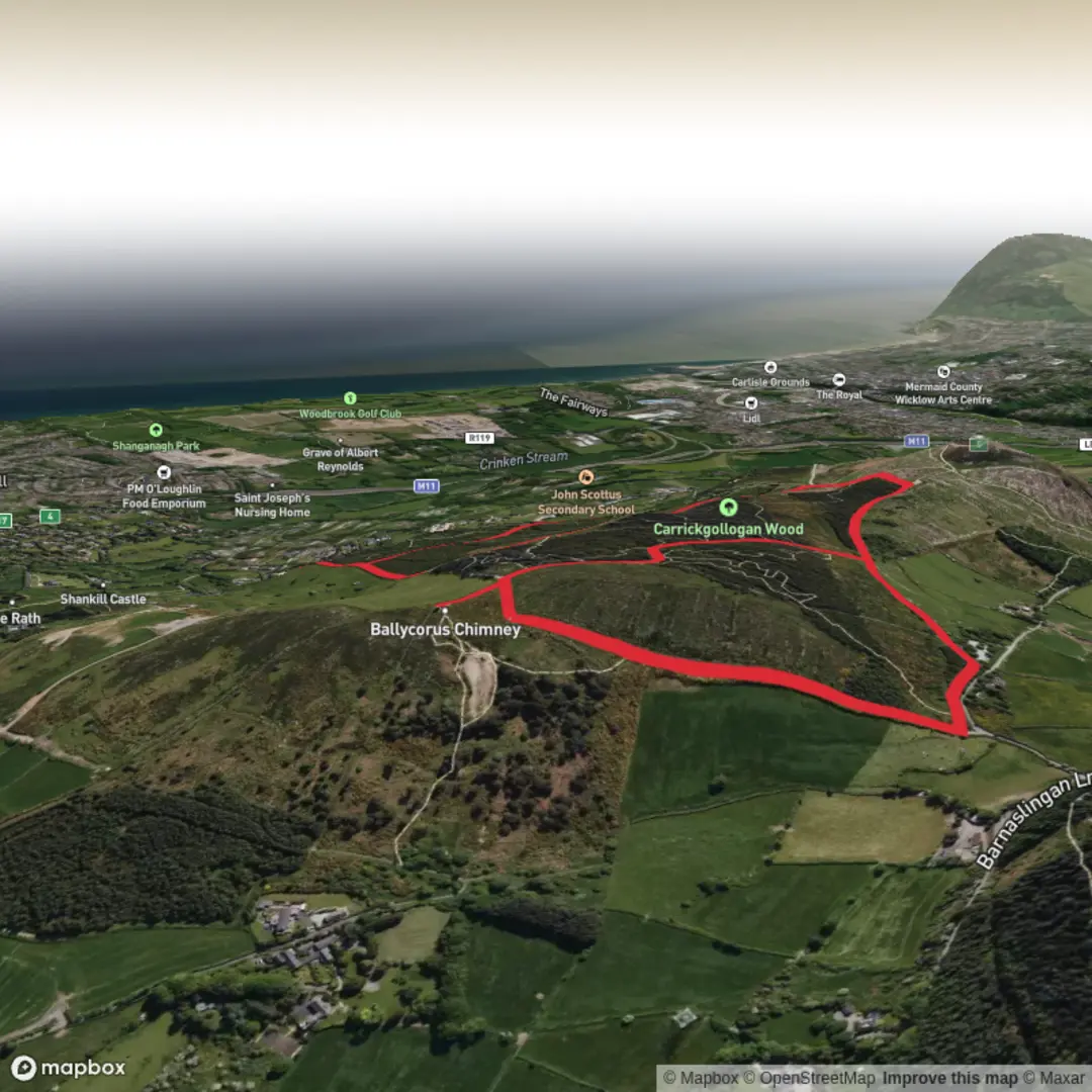 An image depicting the trail Ballycorus Lead Mine Loop Walk and its surrounding area.