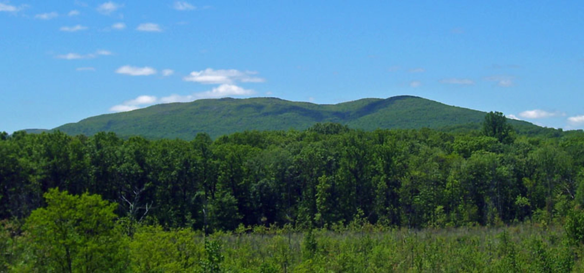 An image depicting the trail Schunnemunk Mountain via Otterkill Trail and its surrounding area.