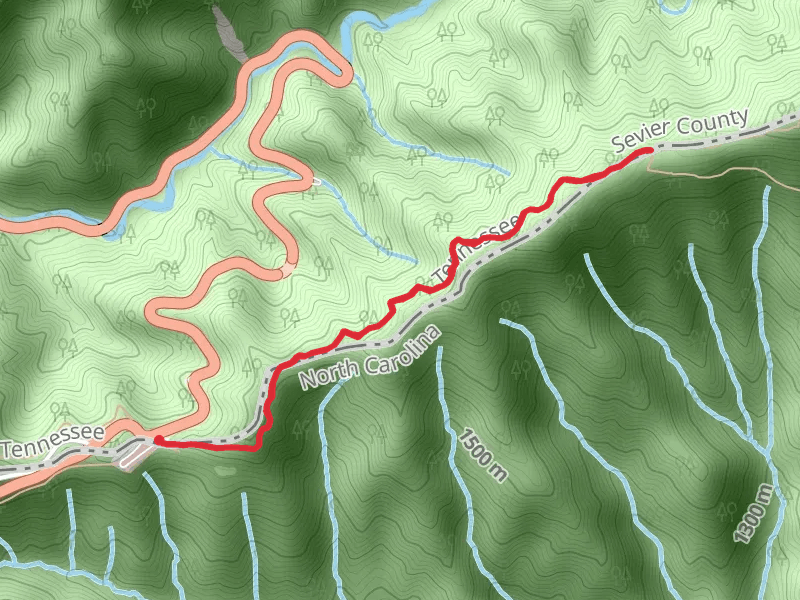 Appalachian Trail from Newfound Gap