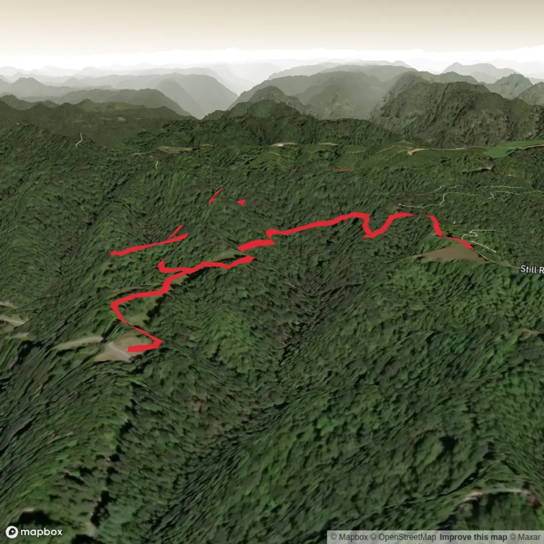 An image depicting the trail Horsepen Knob Trail and its surrounding area.