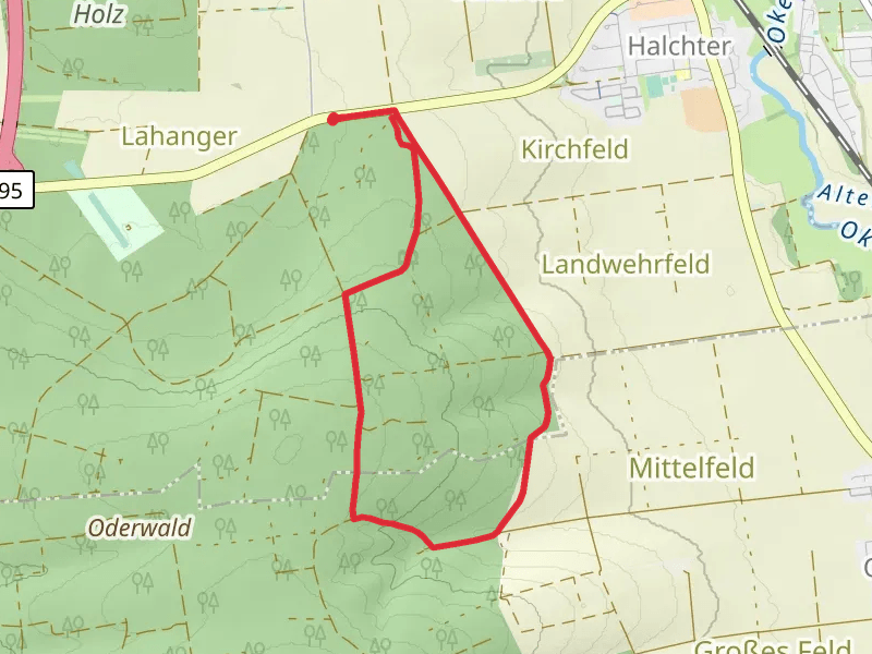 Freundschaftsbuchenweg Loop
