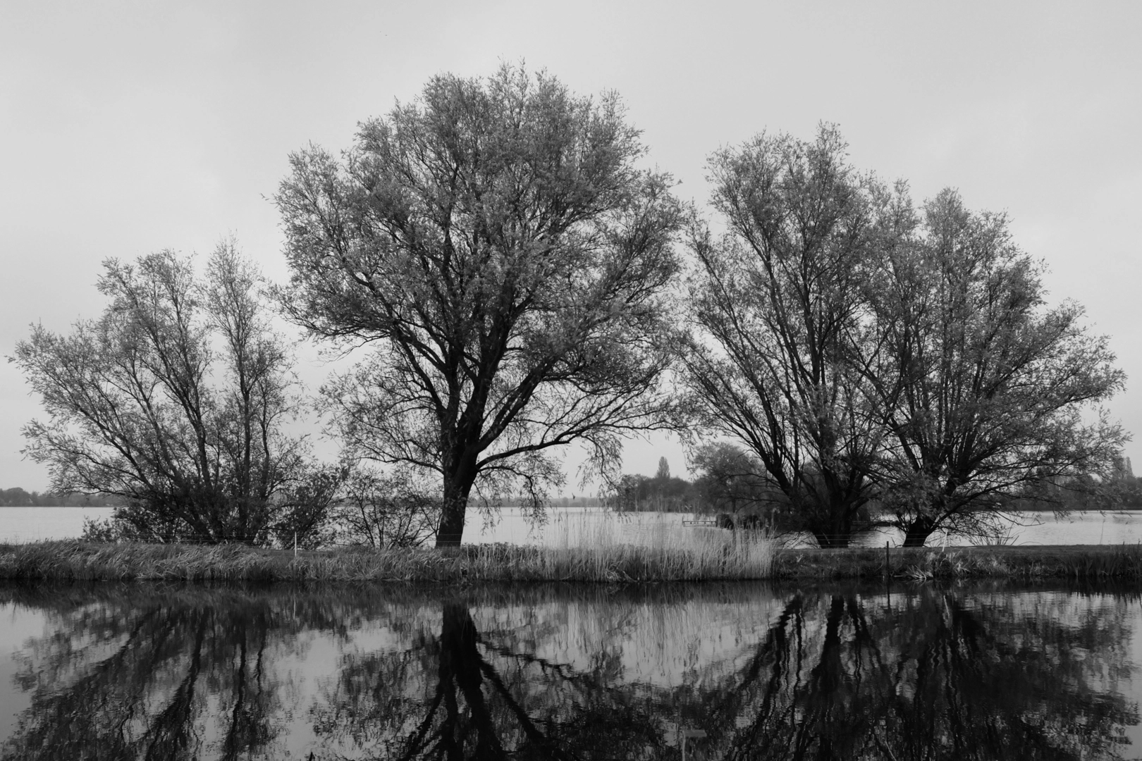An image depicting the trail Langeraarsche and Zuidplas Plassen Loop and its surrounding area.