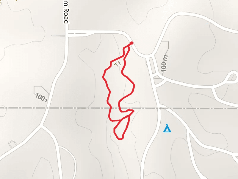 Beech Hollow Nature Loop Trail