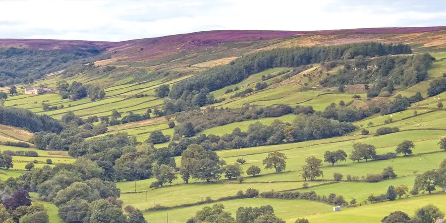 Rosedale Valley Circular from Little Blakey