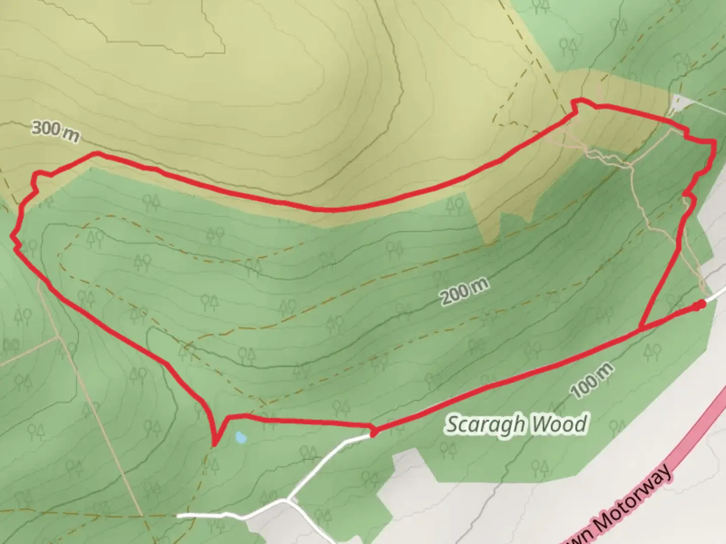 An image depicting the trail Scaragh Woods Red Trail and its surrounding area.