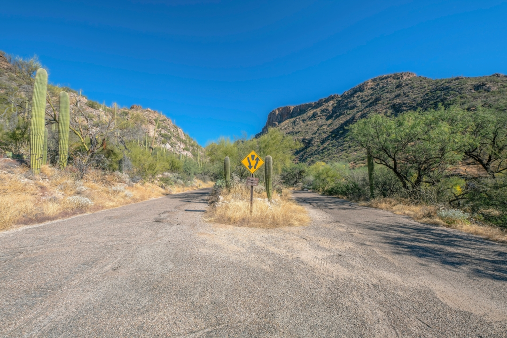 An image depicting the trail Phoneline Trail and its surrounding area.