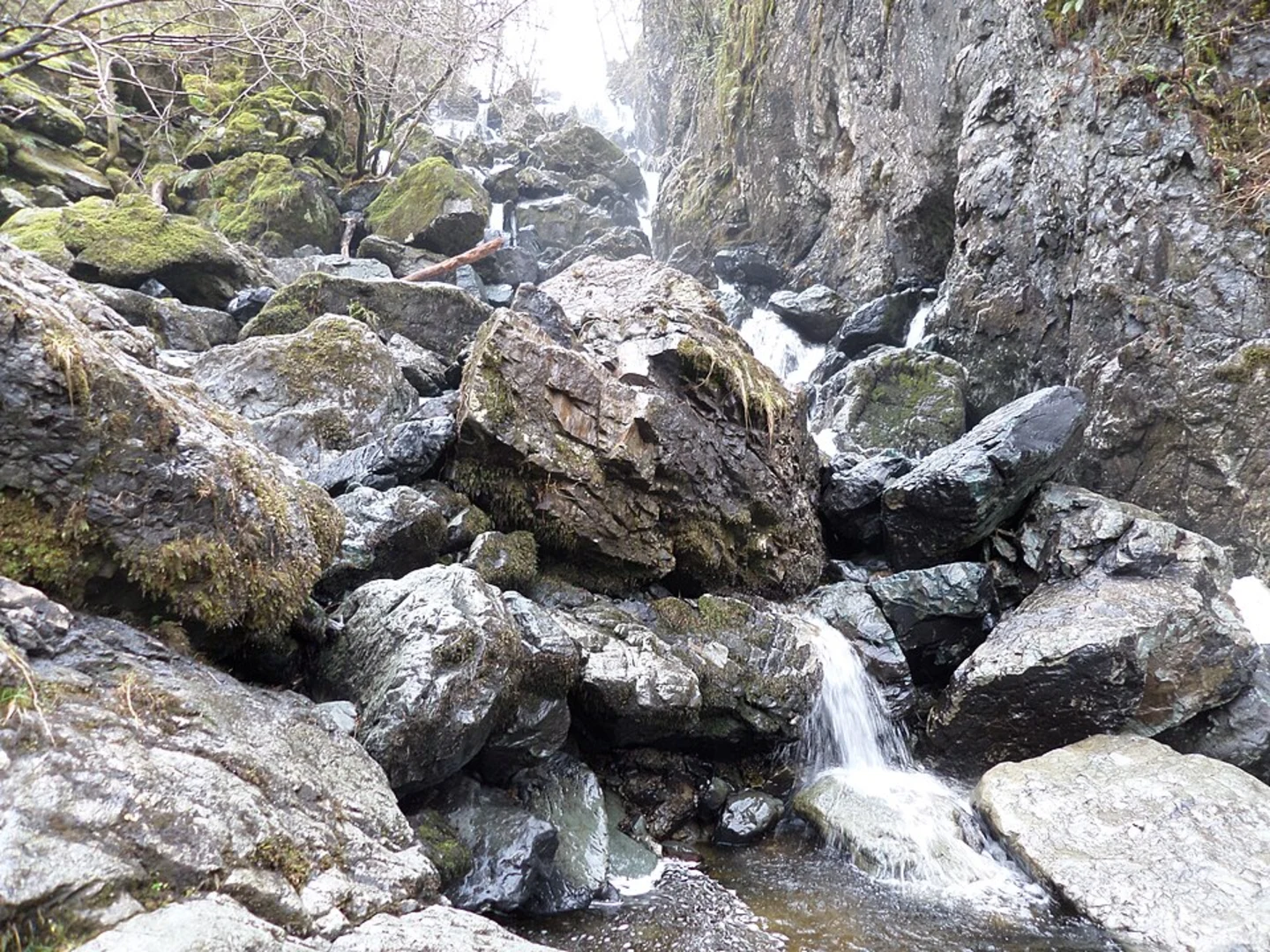 An image depicting the trail Ladore Falls Walk and its surrounding area.