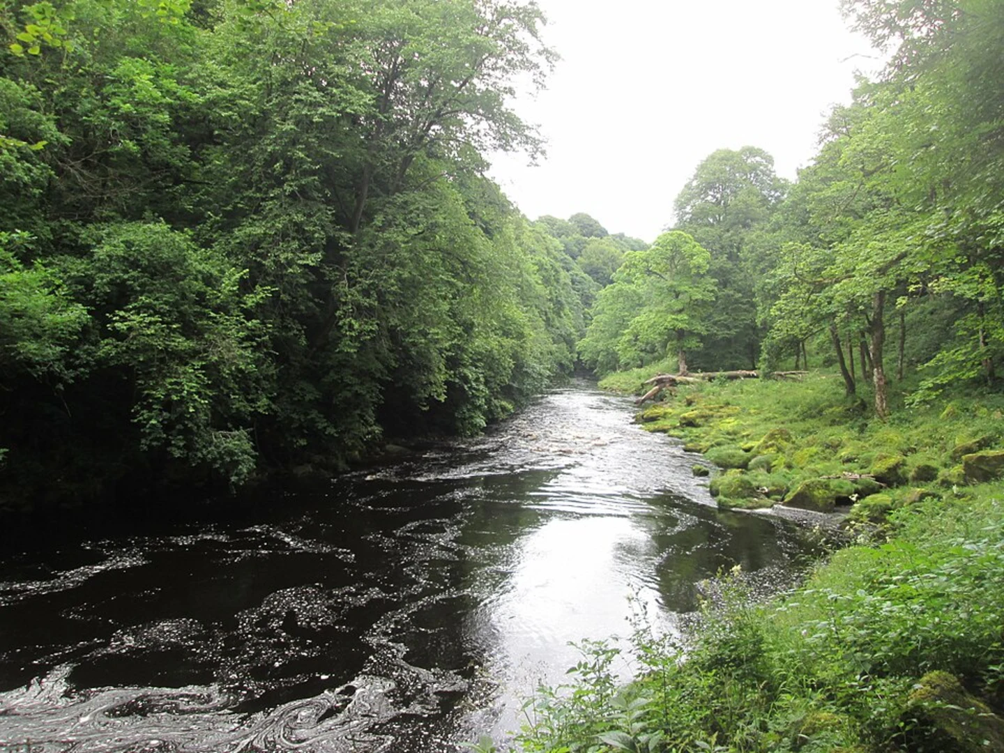 An image depicting the trail Bolton Abbey Circular Walk and its surrounding area.