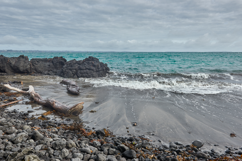 Rangitoto Island Coastal Track to Mackenzie Bay Loop