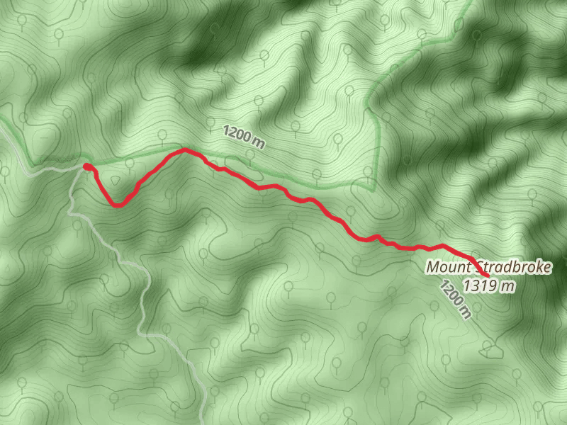 Mount Stradbroke Trail
