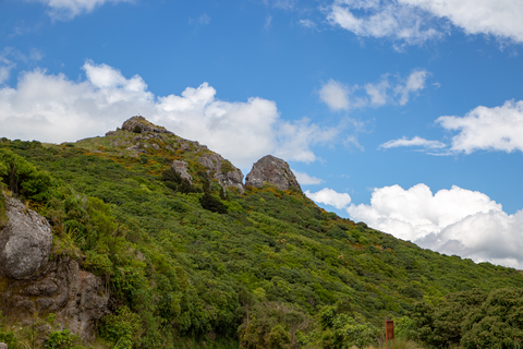 Coopers Knob