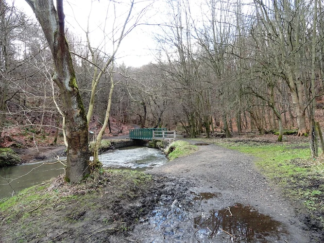 Beamish North Loop