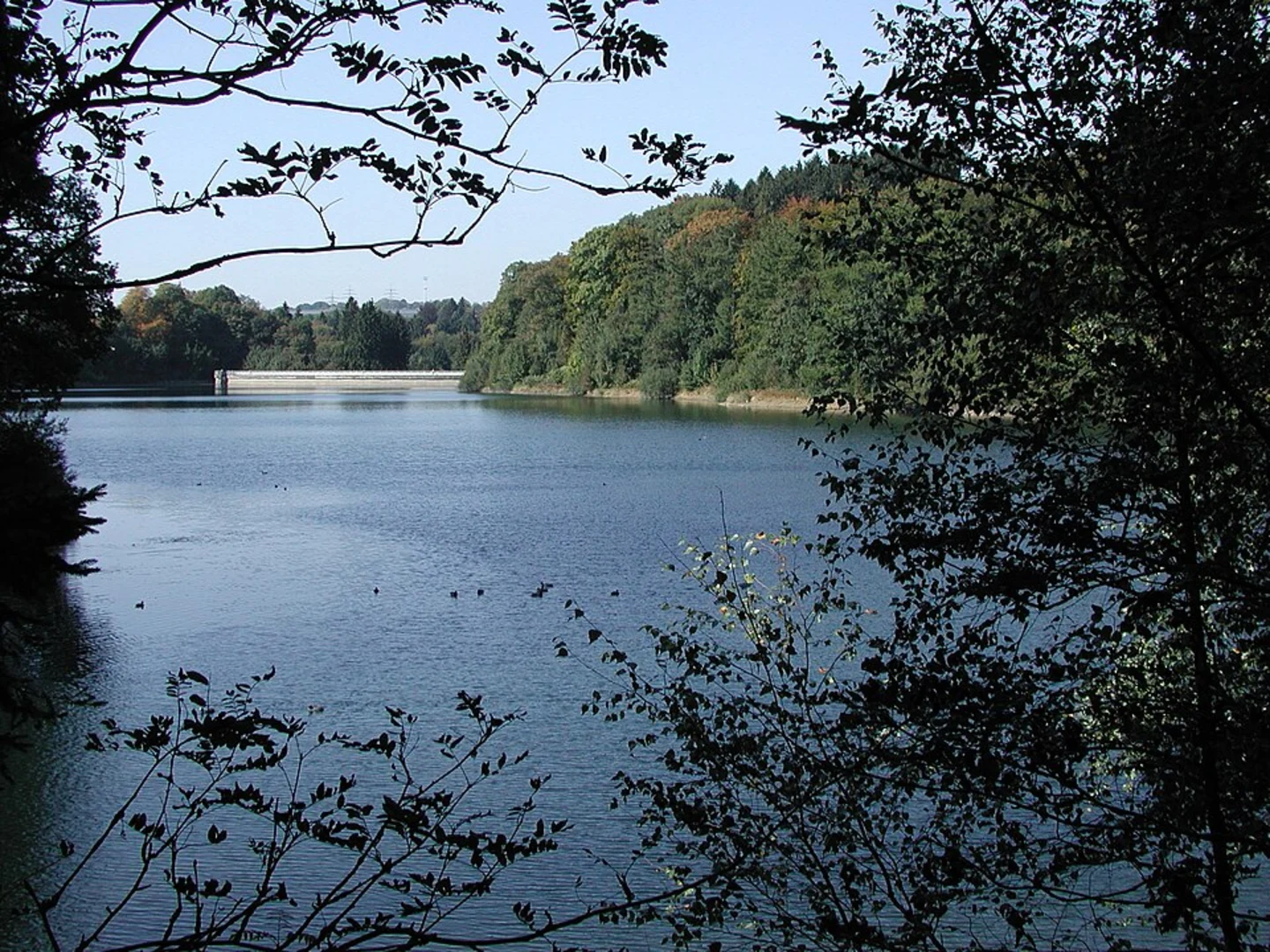 An image depicting the trail Eschbachtalsperre Rundweg and its surrounding area.