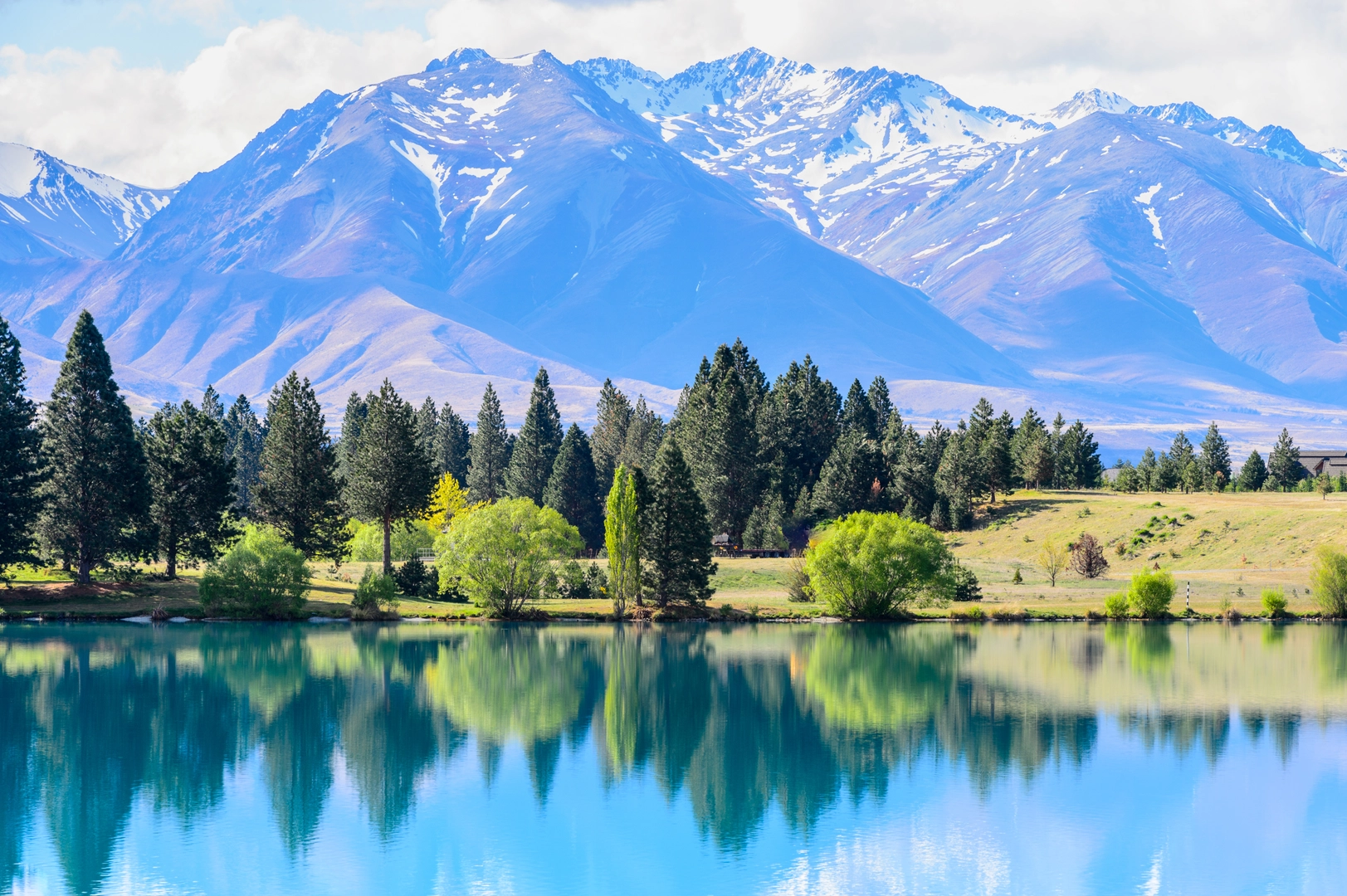 An image depicting the trail Lake Ōhau Track and its surrounding area.
