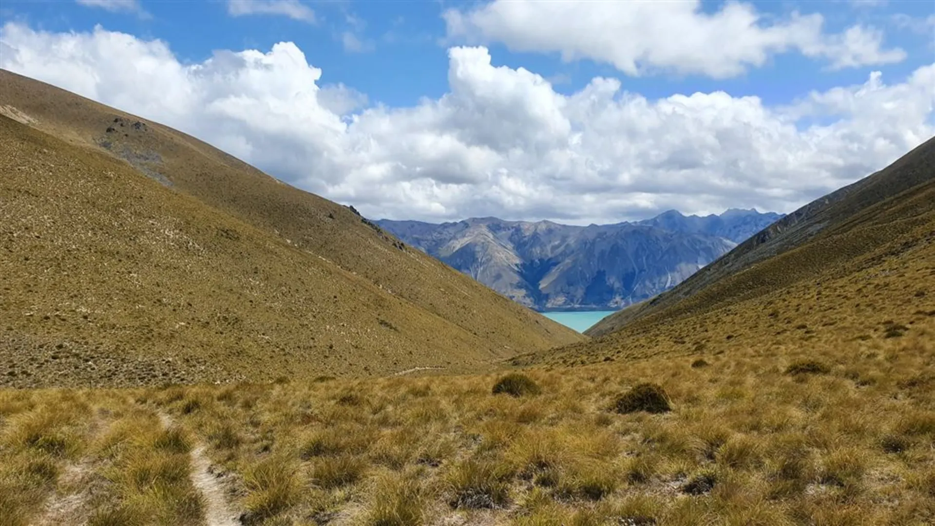 An image depicting the trail Twizel Area - Darts Bush Stream Track and its surrounding area.